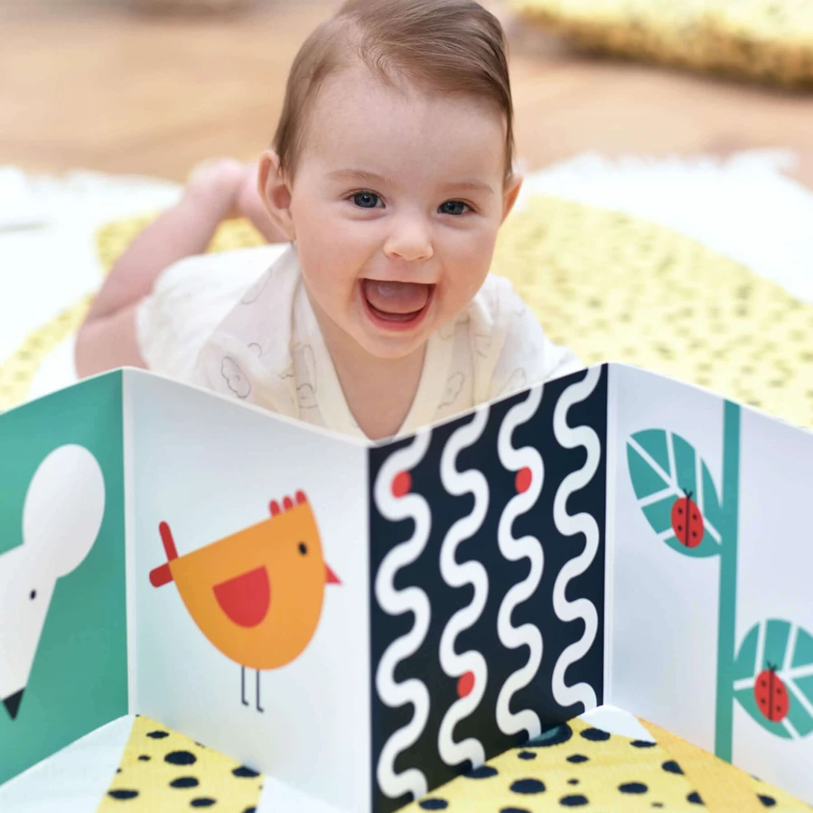 CzuCzu Toddler Starter What I See, 2 контрастні книжки для дітей, 0-6 місяців: ціни та характеристики