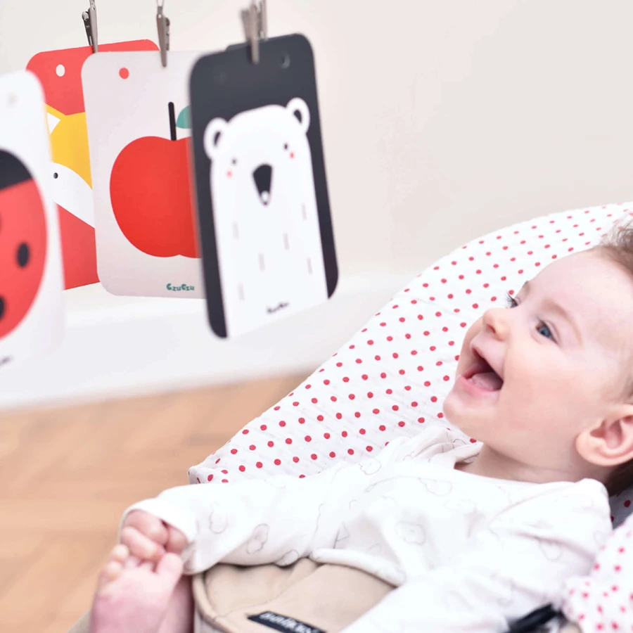 CzuCzu Toddler Starter What I See, 2 контрастні книжки для дітей, 0-6 місяців: ціни та характеристики