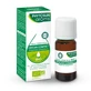 Компактна ефірна олія Phytosun Aroms Organic Origan 10 мл