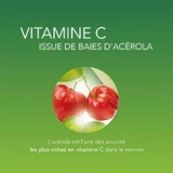 Arkopharma Azinc Acerola 1000 Витамин C 2 коробки по 30 жевательных таблеток