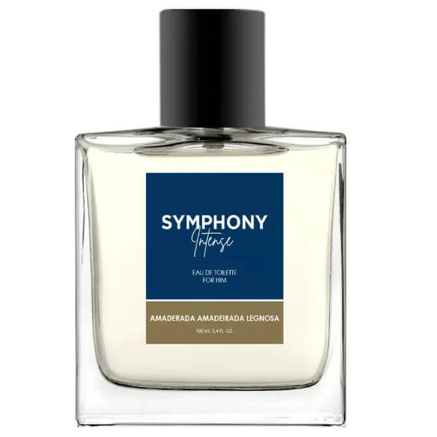 Melody Symphony Intense Туалетна вода для чоловіків, 100 мл: ціни та характеристики