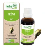Herbalgem Bourgeons Organic Ash 30ml