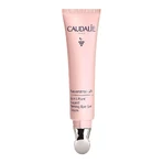Caudalie Resveratrol-Lift, крем для підтяжки шкіри навколо очей, 15 мл: ціни та характеристики