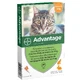 Advantage 40 для дрібних котів та кролів до 4 кг 6х0,4 мл