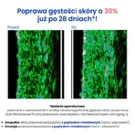 Bandi Medical Expert Anti-Aging, мощная эмульсия против морщин с пептидом меди, 50 мл: цены и характеристики