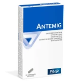 Pileje Antemig Оксид магния 20 таблеток