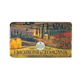 Золоте пейзажне мило Nesti Dante Emozioni In Toscana, 250 г