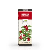 Настоянка чорної вишні, 200 мл, Dorel Plant
