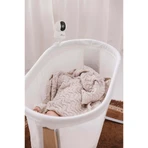 Momini KidLook, електронна няня: ціни та характеристики