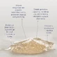 Sensum Mare Algopure, мягкий энзимный пилинг, 100 мл