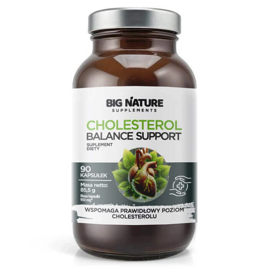 Big Nature Cholesterol Balance Support, 90 капсул: цены и характеристики