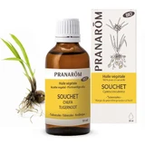 Pranarôm Organic Yellow Butcher's Broom Plant Oil 50ml