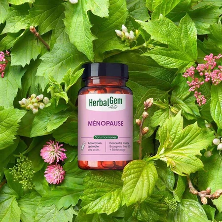 Herbalgem Gemmocaps Менопауза 30 капсул: ціни та характеристики