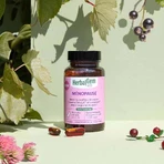 Herbalgem Gemmocaps Менопауза 30 капсул: ціни та характеристики