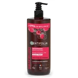 Centifolia Brillance Sublime Shine Shampoo Шампунь для всех типов волос 500 мл