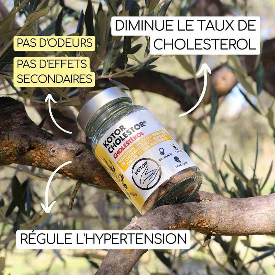 Kotor Pharma Colestor Cholesterol 60 капсул: цены и характеристики