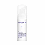 Caudalie Vinoperfect Radiant Micro-Perlating Mousse 50ml: цены и характеристики