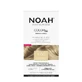 Натуральная краска для волос, суперплатиновый блондин 11.00, 140 мл, Noah