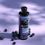 Centifolia Organic Violet Dejaunizing Shampoo Седые, белые и светлые органические волосы 200 мл: цены и характеристики