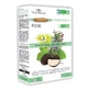 Flora Natura Печеночный комплекс 4+ фумистерия 20 ампул