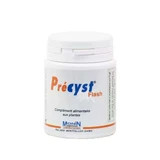 Monin Chanteaud Precyst Flash 60 гелів