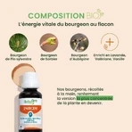 Herbalgem Gemmotherapy Complexes Mental Overload Bio 30ml: цены и характеристики
