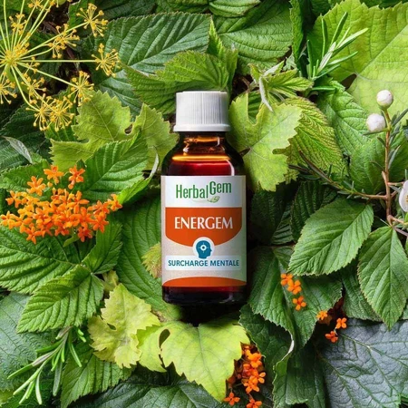 Herbalgem Gemmotherapy Complexes Mental Overload Bio 30ml: цены и характеристики