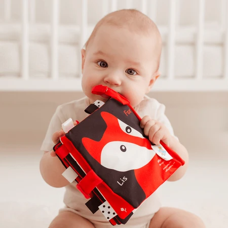 Dumel Jolly Baby, сенсорный буклет, Jungle Sensory, с рождения, 1 шт.: цены и характеристики