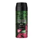 Дезодорант-спрей Axe Bergamot sălbatic amp; piper roz, 150 мл