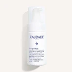 Caudalie Vinoperfect Сяючий мус для мікроперламутру 100 мл: ціни та характеристики