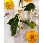 Roger & Gallet Neroli, гель для душу, 200 мл: ціни та характеристики