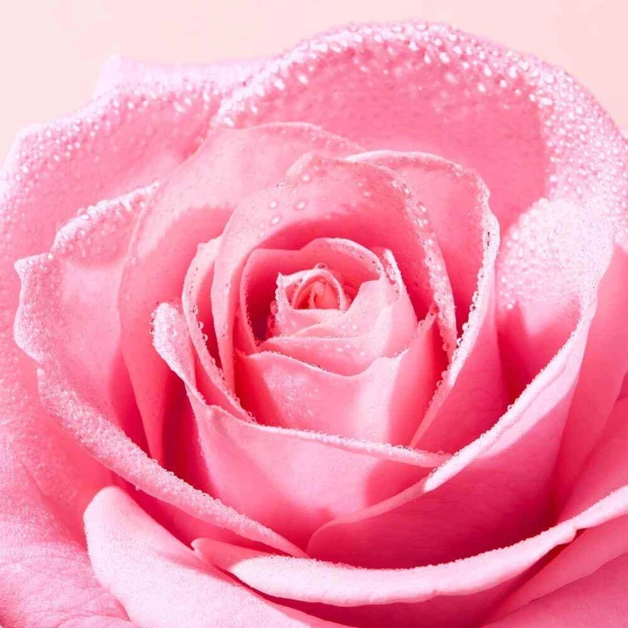 Nuxe Very Rose Gentle Cleansing Oil 150 мл: цены и характеристики