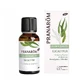 Пранаром дифузійний Eucaly'pur Organic 30мл