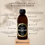 Healthy World Ліпосомальні вітаміни мега В-комплекс форте 1×200 мл, вітамінна добавка: ціни та характеристики