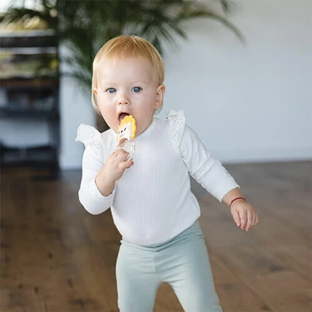 BabyOno, погремушка, лев, с рождения, 1 шт.: цены и характеристики