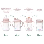 B.Box, ceașcă pentru învățat să bea, set 4 în 1, roz, de la 4 luni, 240 ml: цены и характеристики