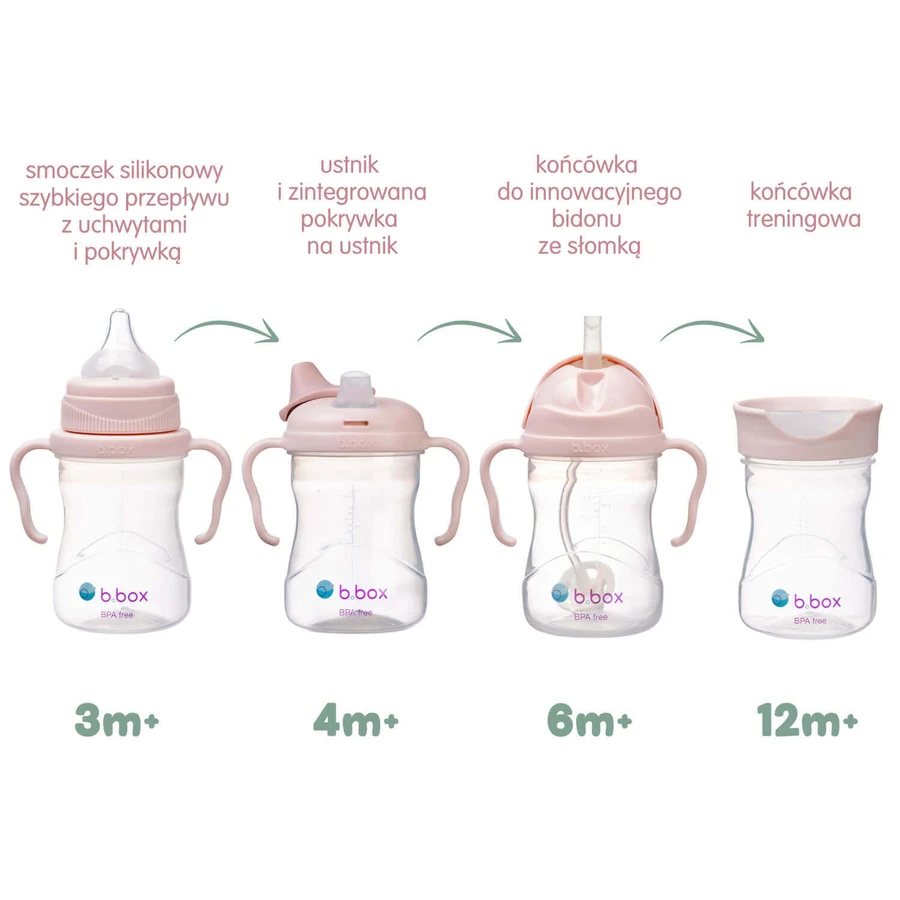 B.Box, ceașcă pentru învățat să bea, set 4 în 1, roz, de la 4 luni, 240 ml: цены и характеристики