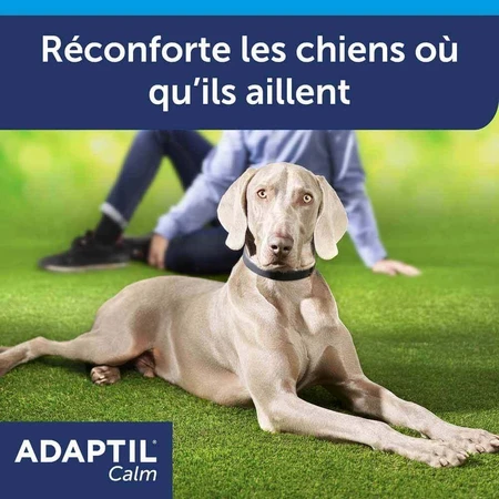 Ошейник Ceva Adaptil Stress-relief для крупных и средних собак M/L: цены и характеристики