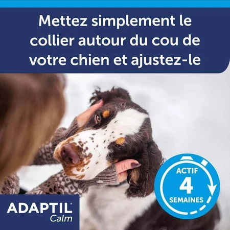 Ошейник Ceva Adaptil Stress-relief для крупных и средних собак M/L: цены и характеристики