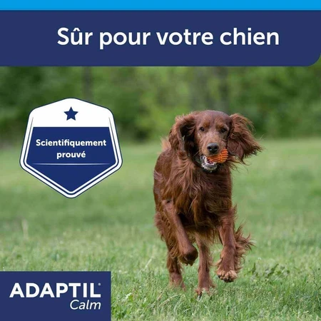 Ошейник Ceva Adaptil Stress-relief для крупных и средних собак M/L: цены и характеристики