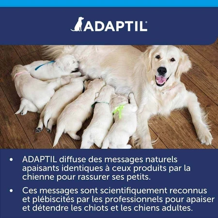 Ошейник Ceva Adaptil Stress-relief для крупных и средних собак M/L: цены и характеристики