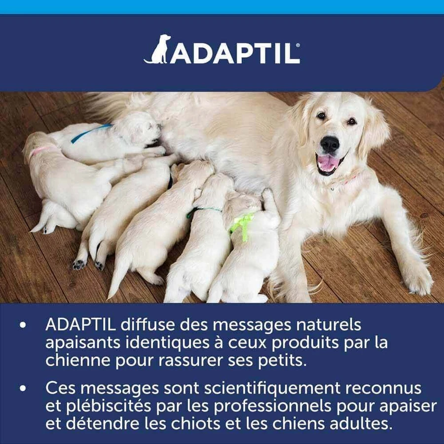 Ошейник Ceva Adaptil Stress-relief для крупных и средних собак M/L: цены и характеристики