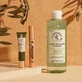 La Provençale Volume Ardent Рутинний догляд за очима та інтенсивний погляд 24 години x1