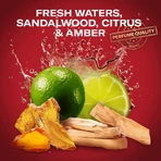 Old Spice, дезодорант-стик, Whitewater, 50 мл: цены и характеристики