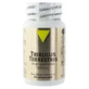 Vit'All+ Стандартизований екстракт Tribulus Terrestris 300 мг 30 таблеток