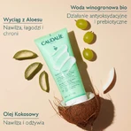 Caudalie Vinosun Protect, регенеруюче молочко після засмаги, 200 мл + невидимий, легкий крем з надвисоким рівнем захисту, SPF 50+, 20 мл безкоштовно: ціни та характеристики