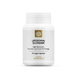 Силімарин ліпосомальний, 45 капсул, Novo Biomedics