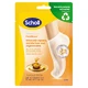 Scholl