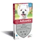 Advantix Small Dog Size 4 to Pipette X6 10ΠΊΠ³