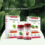 Superdiet Quatuor Circulation Red Vine 120 Capsules 120 Gélules: цены и характеристики